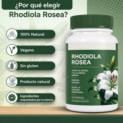 Rhodiola Rosea® - Suplemento Orgánico para Aliviar el estrés, Energía sostenida, Enfoque mental y Apoyo natural de bienestar diario