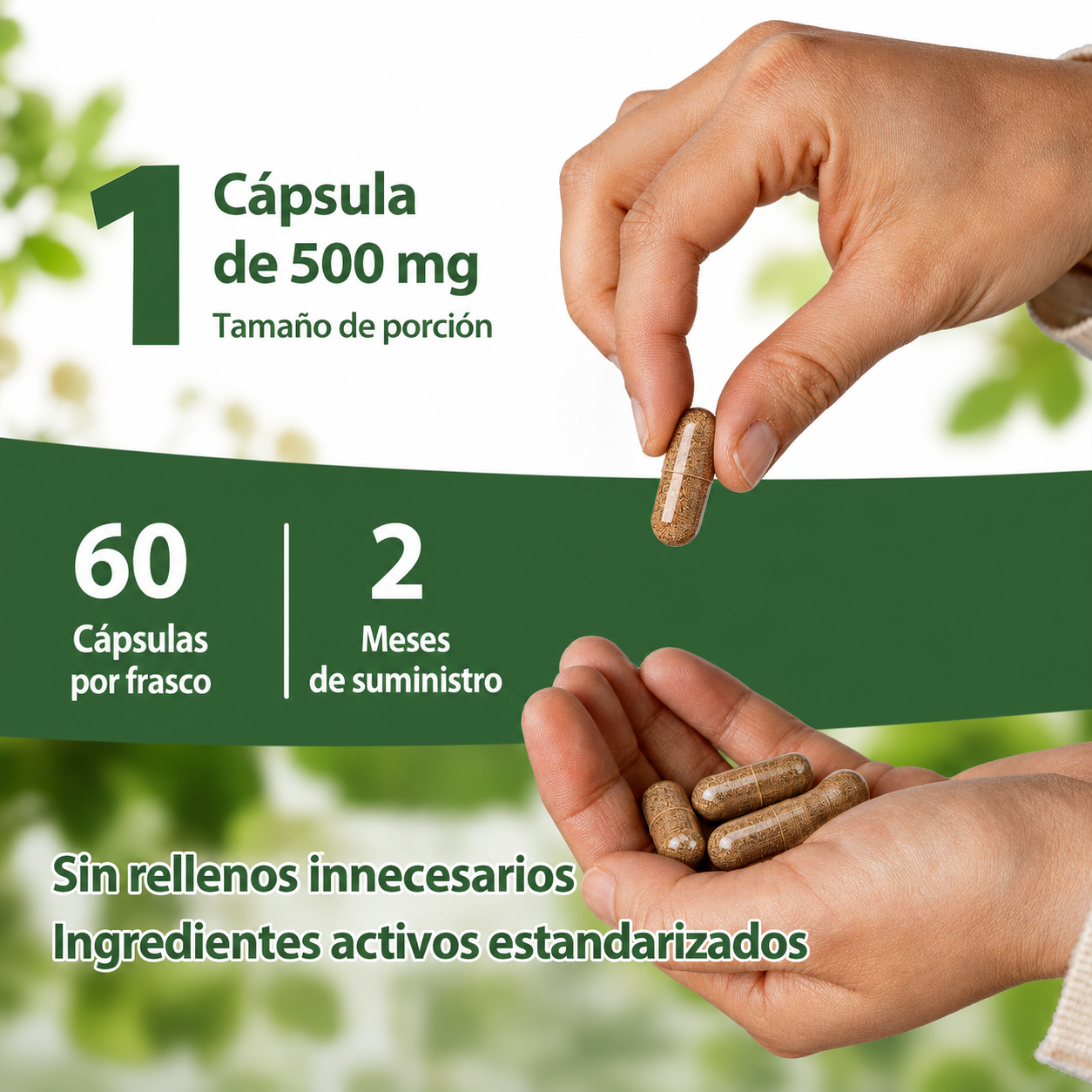 Rhodiola Rosea® - Suplemento Orgánico para Aliviar el estrés, Energía sostenida, Enfoque mental y Apoyo natural de bienestar diario
