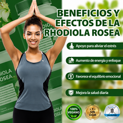 Rhodiola Rosea® - Suplemento Orgánico para Aliviar el estrés, Energía sostenida, Enfoque mental y Apoyo natural de bienestar diario