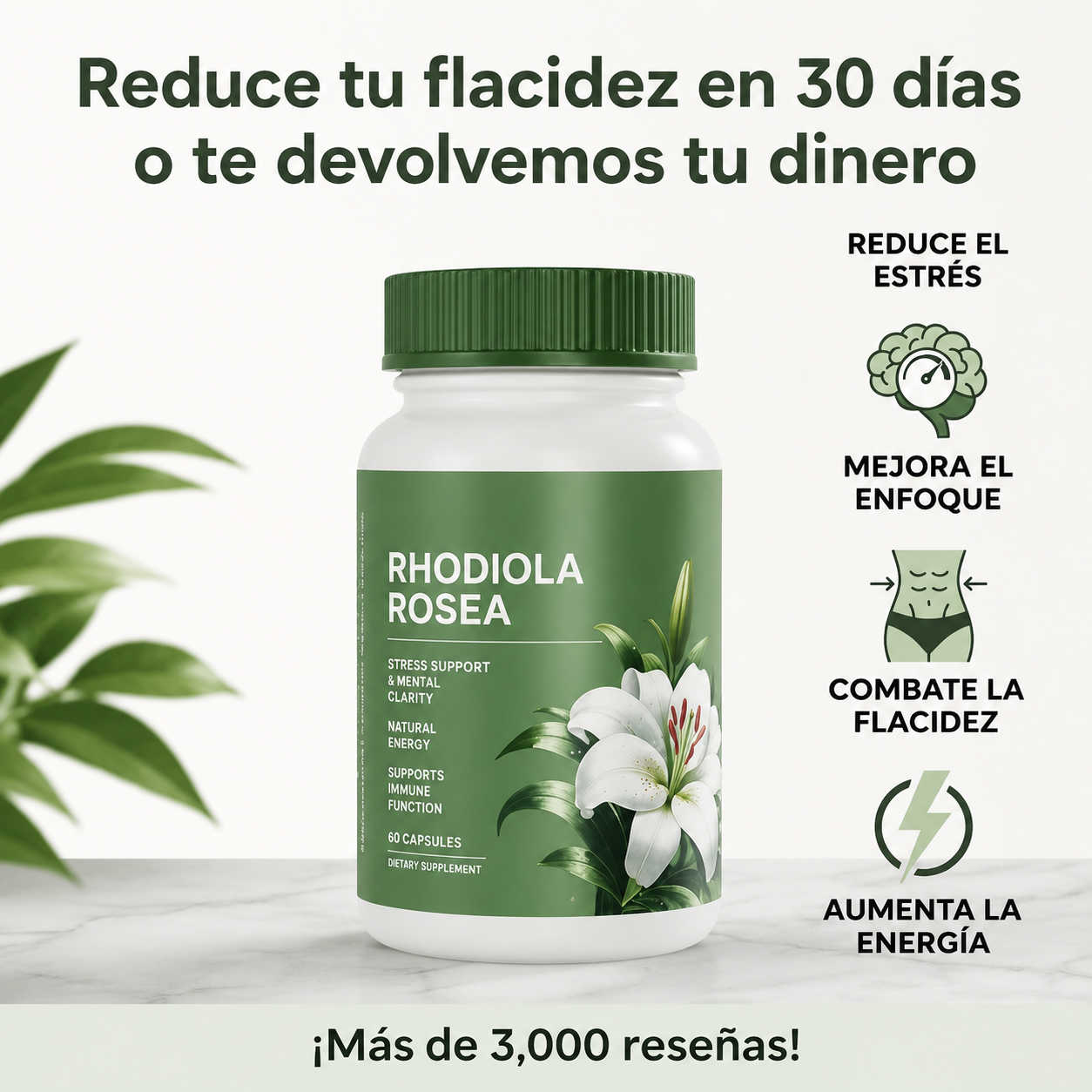 Rhodiola Rosea® - Suplemento Orgánico para Aliviar el estrés, Energía sostenida, Enfoque mental y Apoyo natural de bienestar diario