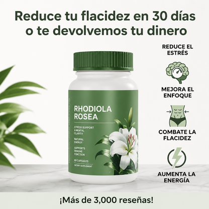 Rhodiola Rosea® - Suplemento Orgánico para Aliviar el estrés, Energía sostenida, Enfoque mental y Apoyo natural de bienestar diario