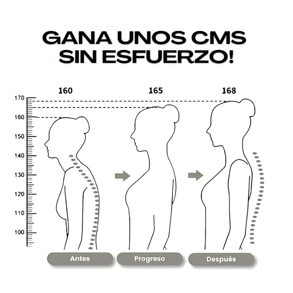 Corrector de Postura Ergonómico - Veltrion™