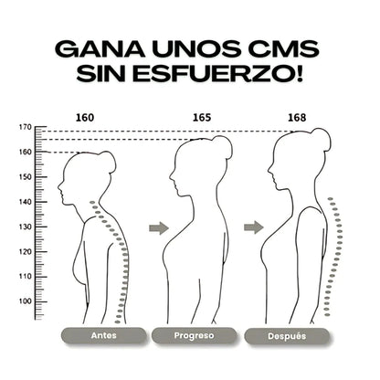 Corrector de Postura Ergonómico - Veltrion™